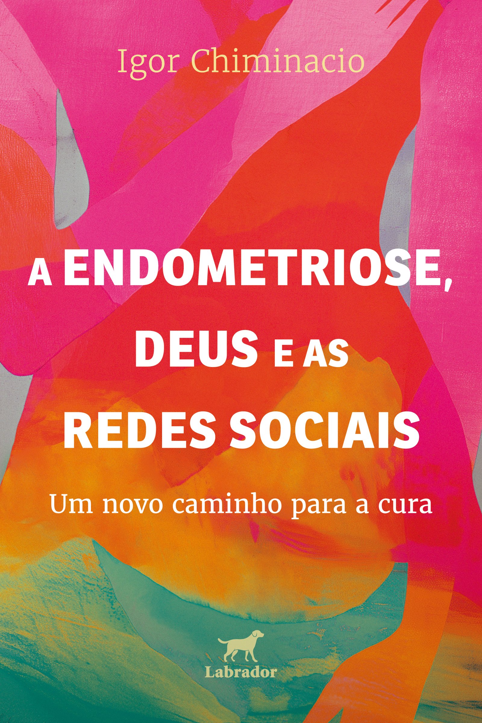 Capa do livro A endometriose, Deus e as redes sociais, de Igor Chiminacio